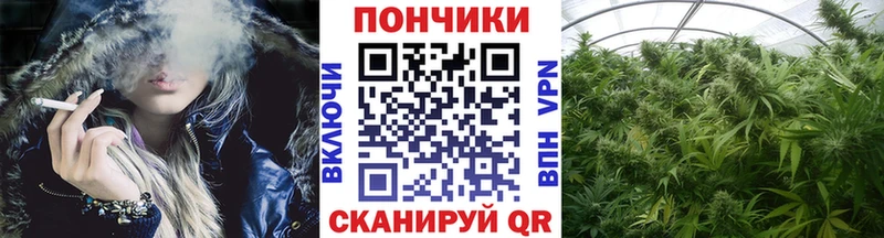 Купить закладки  Армавир  Бошки марихуана OG Kush 